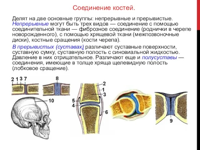 Делят на две основные группы: непрерывные и прерывистые. Непрерывные могут быть