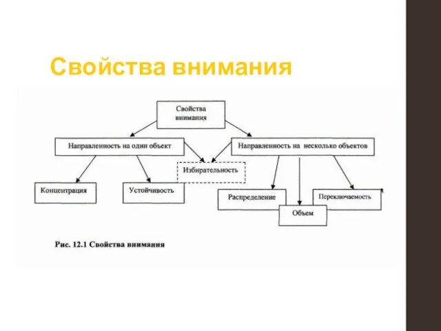 Свойства внимания