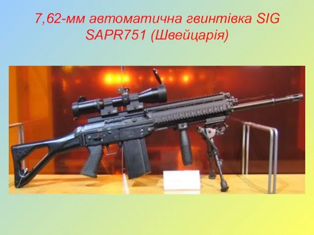 7,62-мм автоматична гвинтівка SIG SAPR751 (Швейцарія)