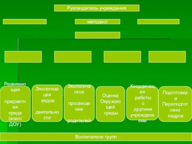 Руководитель учреждения методист Развивающая предметная среда (всего ДОУ) Экологизация видов деятельности