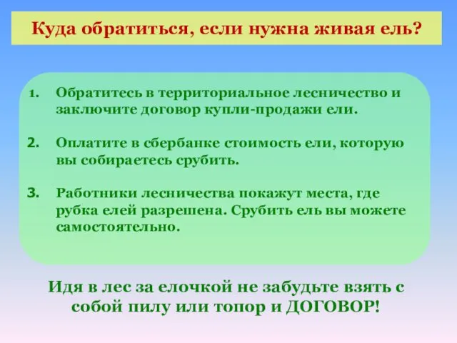 Куда обратиться, если нужна живая ель? Обратитесь в территориальное лесничество и