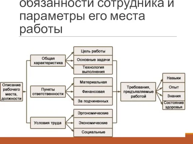 обязанности сотрудника и параметры его места работы