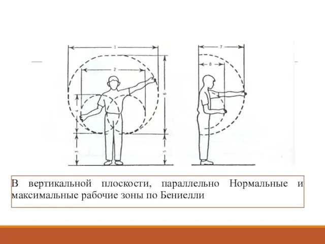 В вертикальной плоскости, параллельно Нормальные и максимальные рабочие зоны по Бениелли