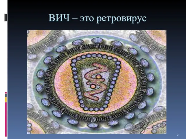 ВИЧ – это ретровирус