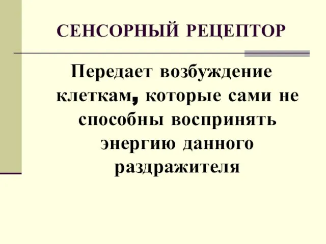 СЕНСОРНЫЙ РЕЦЕПТОР Передает возбуждение клеткам, которые сами не способны воспринять энергию данного раздражителя