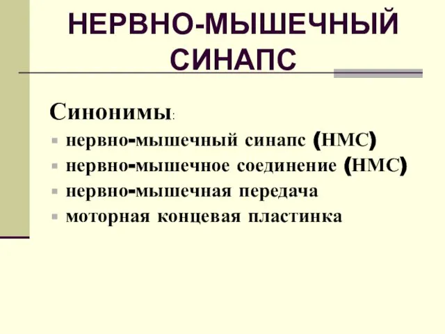 НЕРВНО-МЫШЕЧНЫЙ СИНАПС Синонимы: нервно-мышечный синапс (НМС) нервно-мышечное соединение (НМС) нервно-мышечная передача моторная концевая пластинка