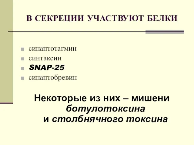 В СЕКРЕЦИИ УЧАСТВУЮТ БЕЛКИ синаптотагмин синтаксин SNAP-25 синаптобревин Некоторые из них