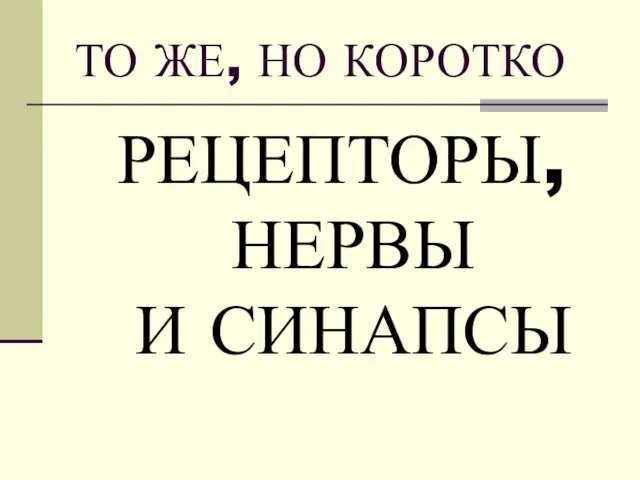 ТО ЖЕ, НО КОРОТКО РЕЦЕПТОРЫ, НЕРВЫ И СИНАПСЫ