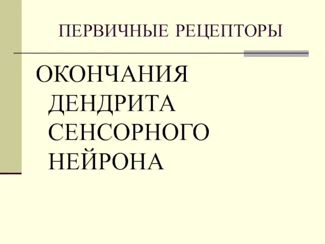 ПЕРВИЧНЫЕ РЕЦЕПТОРЫ ОКОНЧАНИЯ ДЕНДРИТА СЕНСОРНОГО НЕЙРОНА