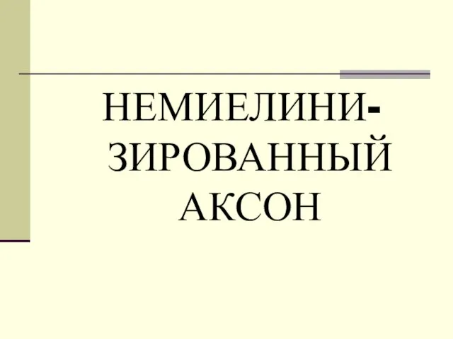 НЕМИЕЛИНИ-ЗИРОВАННЫЙ АКСОН