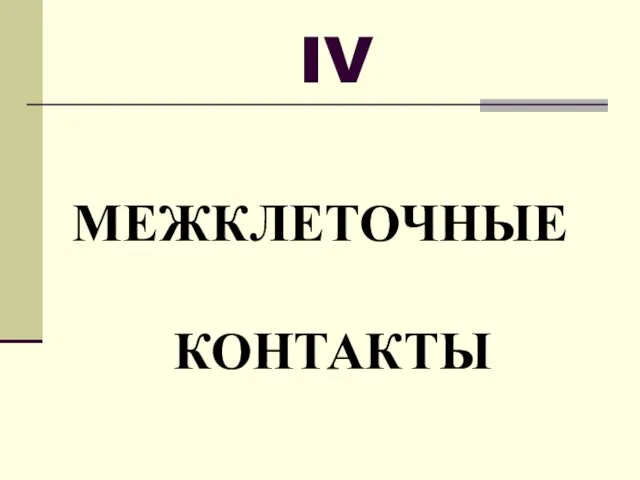 IV МЕЖКЛЕТОЧНЫЕ КОНТАКТЫ