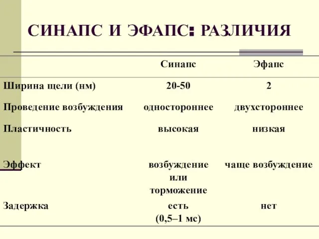 СИНАПС И ЭФАПС: РАЗЛИЧИЯ