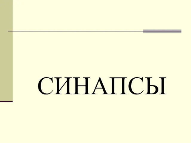 СИНАПСЫ