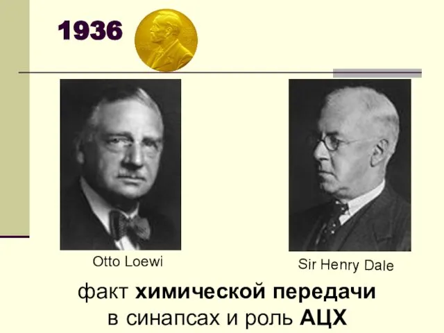 1936 Sir Henry Dale Otto Loewi факт химической передачи в синапсах и роль АЦХ