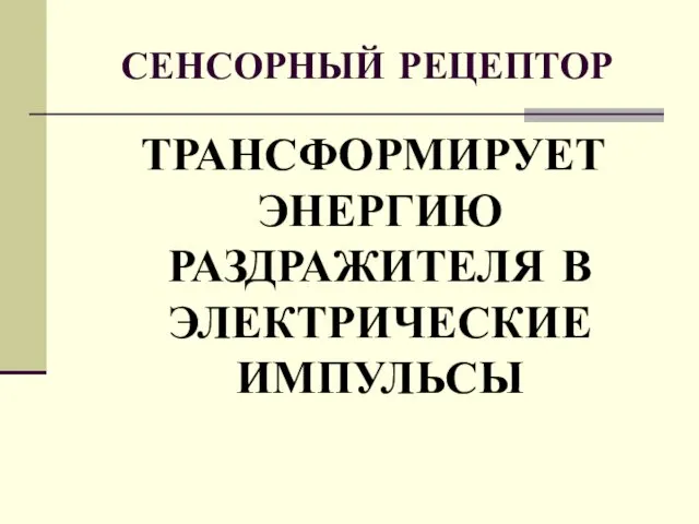 СЕНСОРНЫЙ РЕЦЕПТОР ТРАНСФОРМИРУЕТ ЭНЕРГИЮ РАЗДРАЖИТЕЛЯ В ЭЛЕКТРИЧЕСКИЕ ИМПУЛЬСЫ