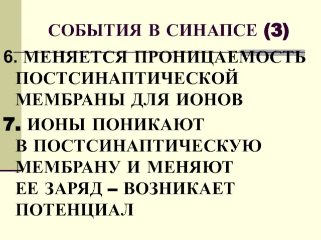 СОБЫТИЯ В СИНАПСЕ (3) 6. МЕНЯЕТСЯ ПРОНИЦАЕМОСТЬ ПОСТСИНАПТИЧЕСКОЙ МЕМБРАНЫ ДЛЯ ИОНОВ