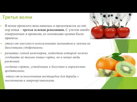 Третья волна В конце прошлого века началась и продолжается до сих