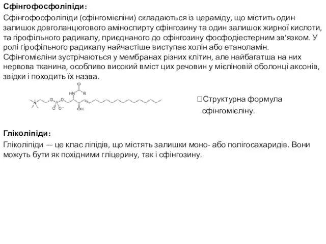 Сфінгофосфоліпіди: Сфінгофосфоліпіди (сфінгомієліни) складаються із цераміду, що містить один залишок довголанцюгового