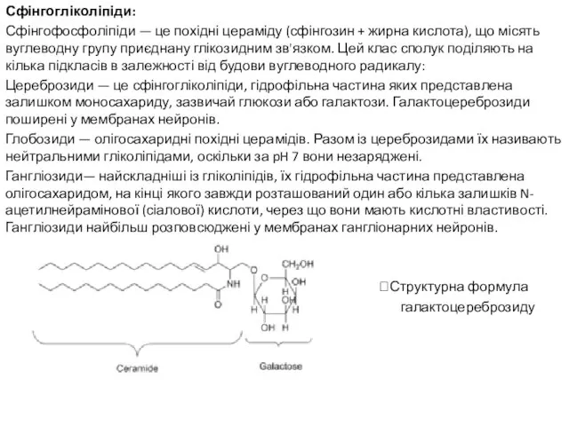 Сфінгогліколіпіди: Сфінгофосфоліпіди — це похідні цераміду (сфінгозин + жирна кислота), що
