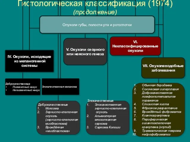 Гистологическая классификация (1974) (продолжение)