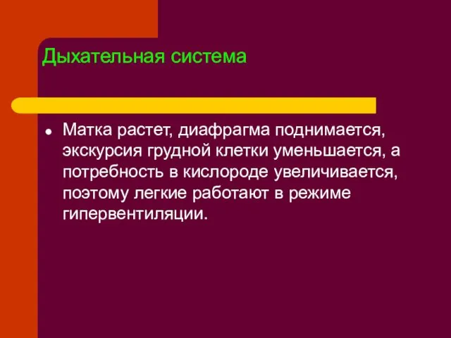 Дыхательная система Матка растет, диафрагма поднимается, экскурсия грудной клетки уменьшается, а