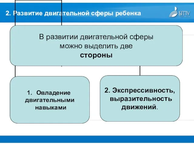 2. Развитие двигательной сферы ребенка