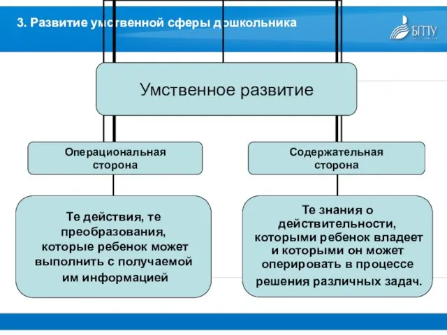 3. Развитие умственной сферы дошкольника