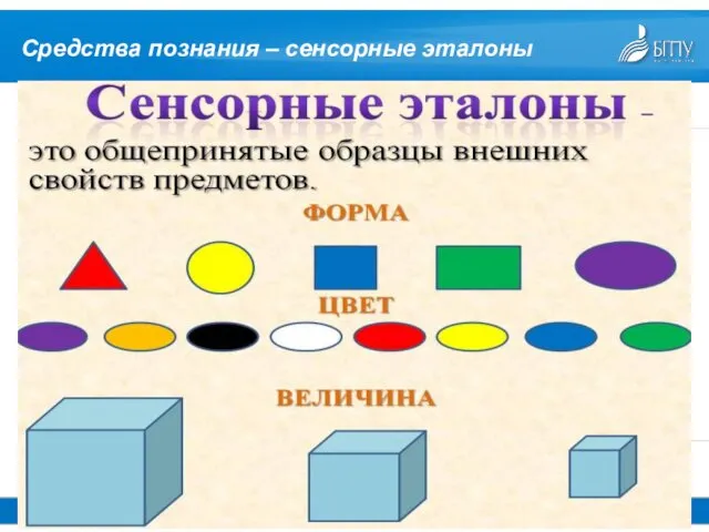 Средства познания – сенсорные эталоны