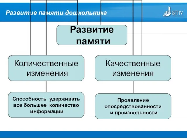 Развитие памяти дошкольника