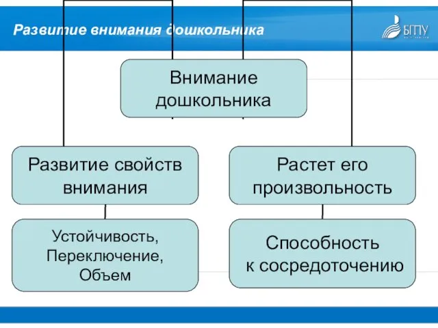 Развитие внимания дошкольника