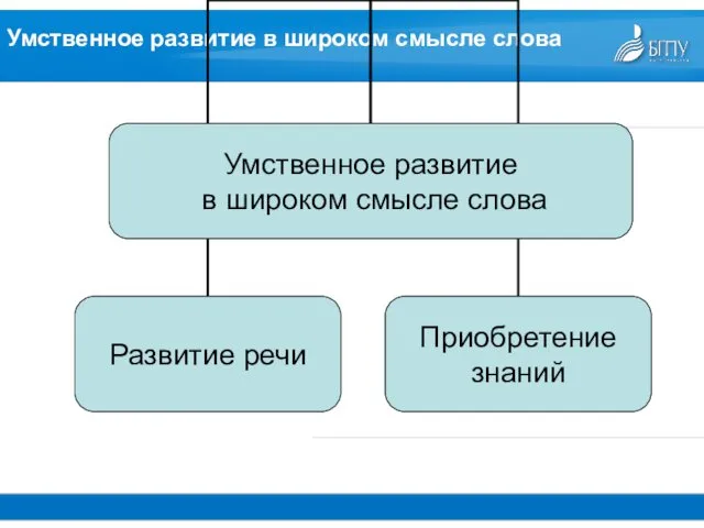 Умственное развитие в широком смысле слова