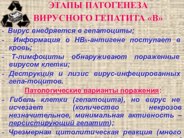 ЭТАПЫ ПАТОГЕНЕЗА ВИРУСНОГО ГЕПАТИТА «В» - Вирус внедряется в гепатоциты; -