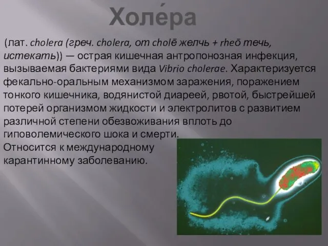 (лат. cholera (греч. cholera, от cholē желчь + rheō течь, истекать))