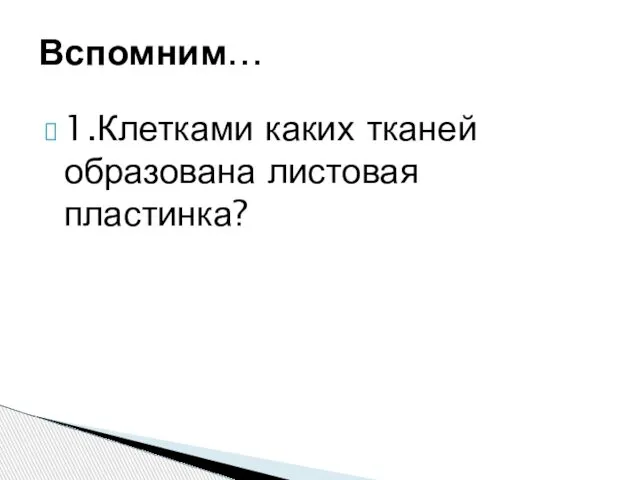 1.Клетками каких тканей образована листовая пластинка? Вспомним…