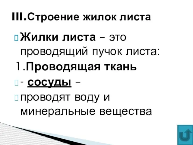 Жилки листа – это проводящий пучок листа: 1.Проводящая ткань - сосуды