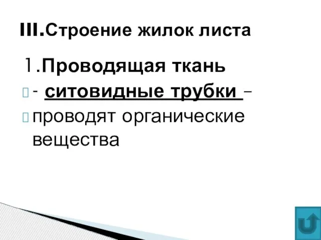 1.Проводящая ткань - ситовидные трубки – проводят органические вещества III.Строение жилок листа