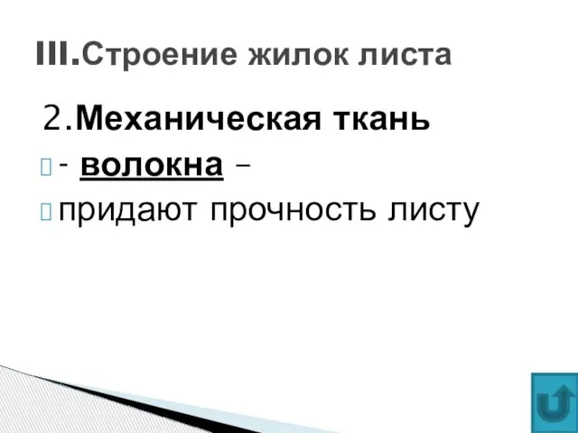 2.Механическая ткань - волокна – придают прочность листу III.Строение жилок листа