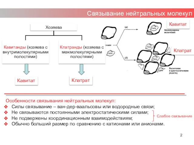 Связывание нейтральных молекул Кавитат Клатрат Кавитат Клатрат Особенности связывания нейтральных молекул: