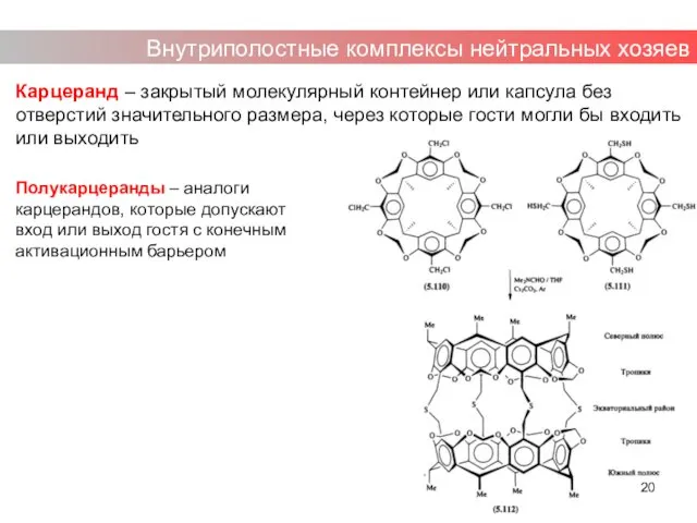 Карцеранд – закрытый молекулярный контейнер или капсула без отверстий значительного размера,