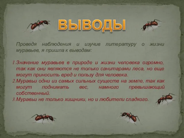 Проведя наблюдения и изучив литературу о жизни муравьев, я пришла к