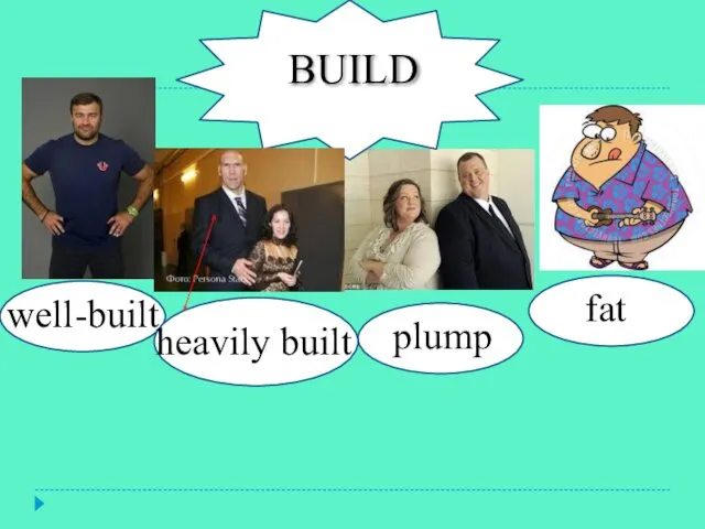 build BUILD well-built plump fat heavily built