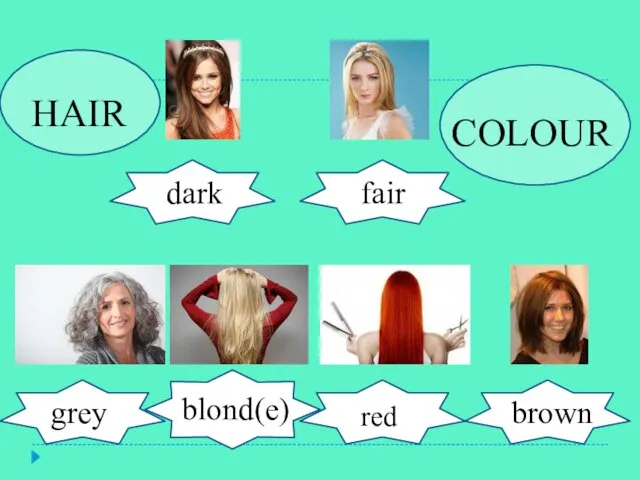 Brown fair fair dark brown grey blond(e) red Hair Hair HAIR COLOUR