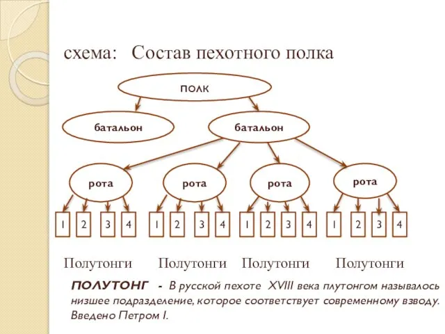 схема: Состав пехотного полка Полутонги Полутонги Полутонги Полутонги полк батальон батальон