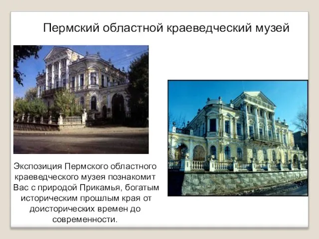 Экспозиция Пермского областного краеведческого музея познакомит Вас с природой Прикамья, богатым