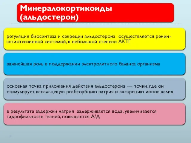 Минералокортикоиды (альдостерон) регуляция биосинтеза и секреции альдостерона осуществляется ренин-ангиотензинной системой, в