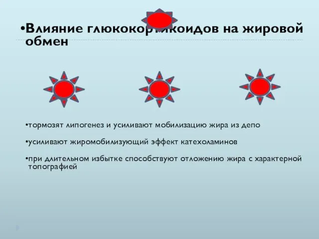 Влияние глюкокортикоидов на жировой обмен тормозят липогенез и усиливают мобилизацию жира