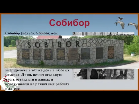 Собибор Собибо́р (польск. Sobibór, нем. SS-Sonderkommando Sobibor) — лагерь смерти, организованный