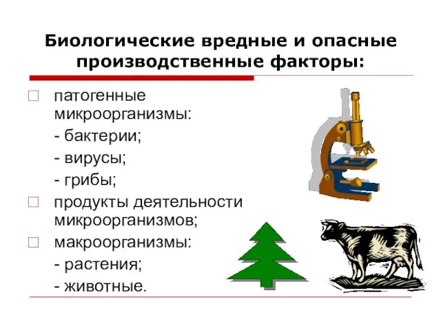 Биологические вредные и опасные производственные факторы: патогенные микроорганизмы: - бактерии; -