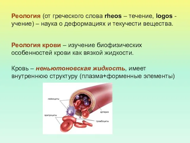 Реология (от греческого слова rheos – течение, logos - учение) –