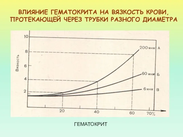 ВЛИЯНИЕ ГЕМАТОКРИТА НА ВЯЗКОСТЬ КРОВИ, ПРОТЕКАЮЩЕЙ ЧЕРЕЗ ТРУБКИ РАЗНОГО ДИАМЕТРА ГЕМАТОКРИТ